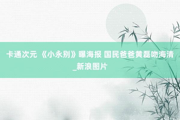 卡通次元 《小永别》曝海报 国民爸爸黄磊吻海清_新浪图片