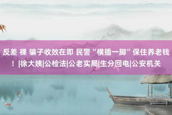 反差 裸 骗子收效在即 民警“横插一脚”保住养老钱！|徐大姨|公检法|公老实局|生分回电|公安机关