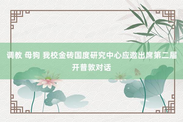 调教 母狗 我校金砖国度研究中心应邀出席第二届开普敦对话