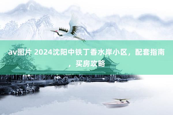 av图片 2024沈阳中铁丁香水岸小区，配套指南，买房攻略