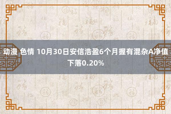 动漫 色情 10月30日安信浩盈6个月握有混杂A净值下落0.20%