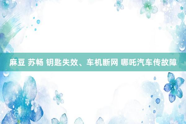 麻豆 苏畅 钥匙失效、车机断网 哪吒汽车传故障