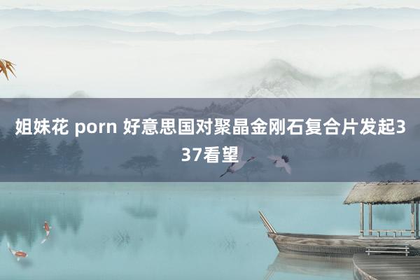 姐妹花 porn 好意思国对聚晶金刚石复合片发起337看望