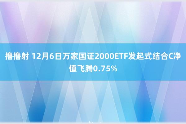 撸撸射 12月6日万家国证2000ETF发起式结合C净值飞腾0.75%