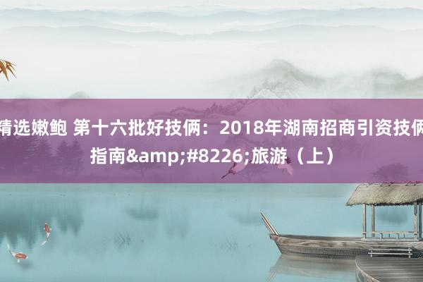 精选嫩鲍 第十六批好技俩：2018年湖南招商引资技俩指南&#8226;旅游（上）