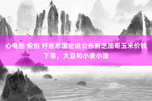 心电图 偷拍 好意思国论说公布前芝加哥玉米价钱下落，大豆和小麦小涨