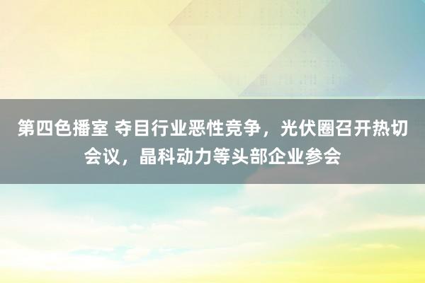 第四色播室 夺目行业恶性竞争，光伏圈召开热切会议，晶科动力等头部企业参会