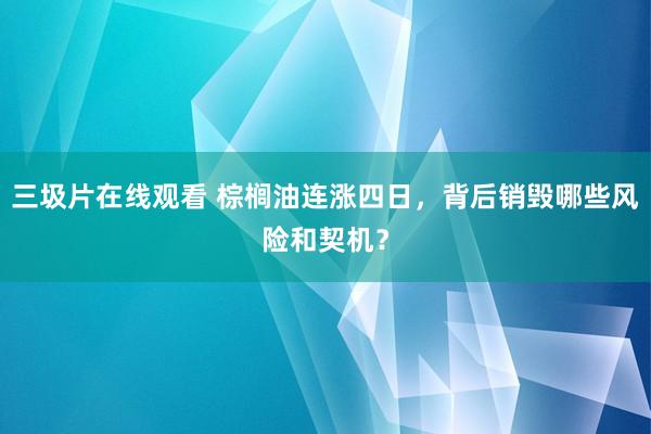 三圾片在线观看 棕榈油连涨四日，背后销毁哪些风险和契机？